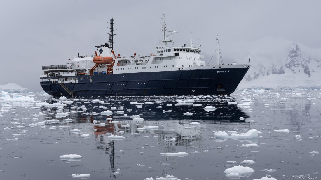 OTL29-25, Day 6, Ortelius 1 © Sara Jenner - Oceanwide Expeditions.jpg