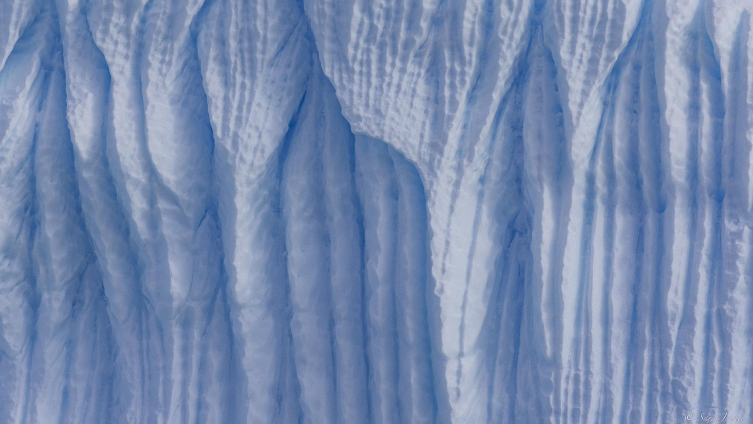 OTL29-25, Day 7, Ice © Sara Jenner - Oceanwide Expeditions.jpg