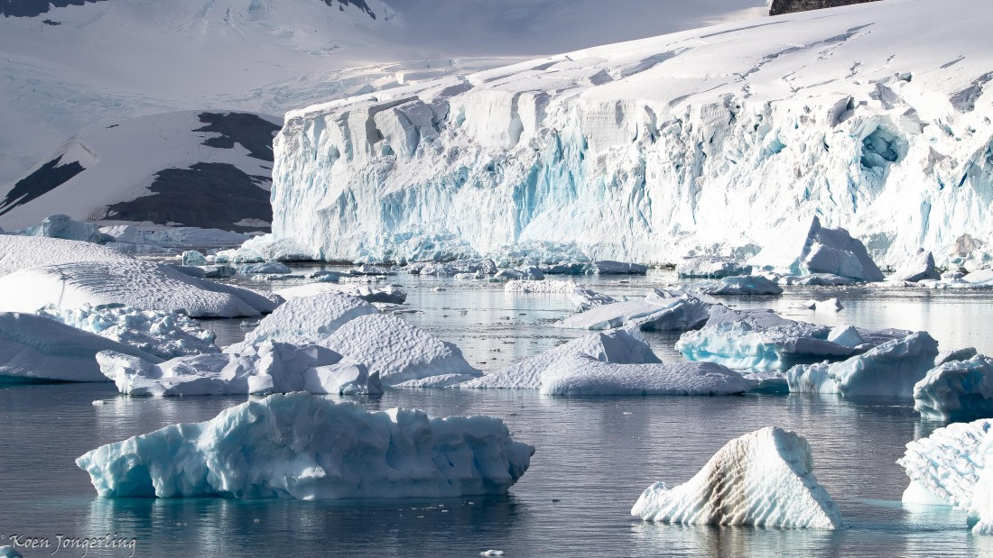 OTL29-25, Day 7, IMG_8243 © Koen Jongerling - Oceanwide Expeditions.jpg