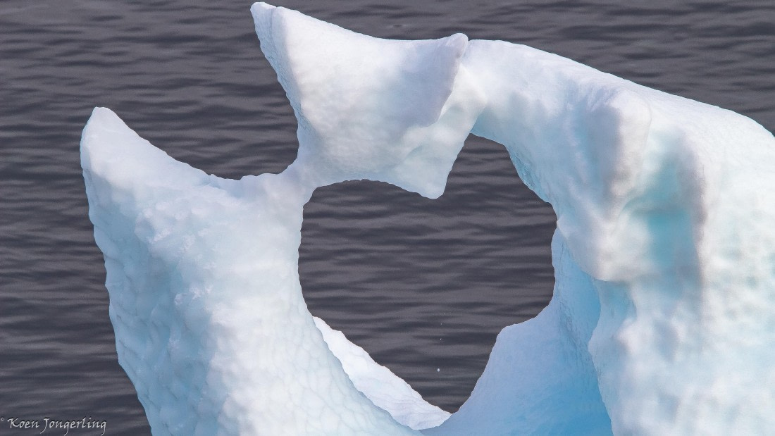 OTL29-25, Day 7, IMG_8260 © Koen Jongerling - Oceanwide Expeditions.jpg