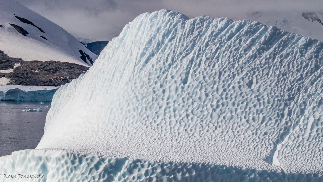 OTL29-25, Day 7, IMG_8292 © Koen Jongerling - Oceanwide Expeditions.jpg