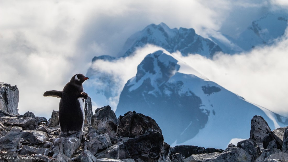 OTL29-25, Day 7, IMG_8300 © Koen Jongerling - Oceanwide Expeditions.jpg