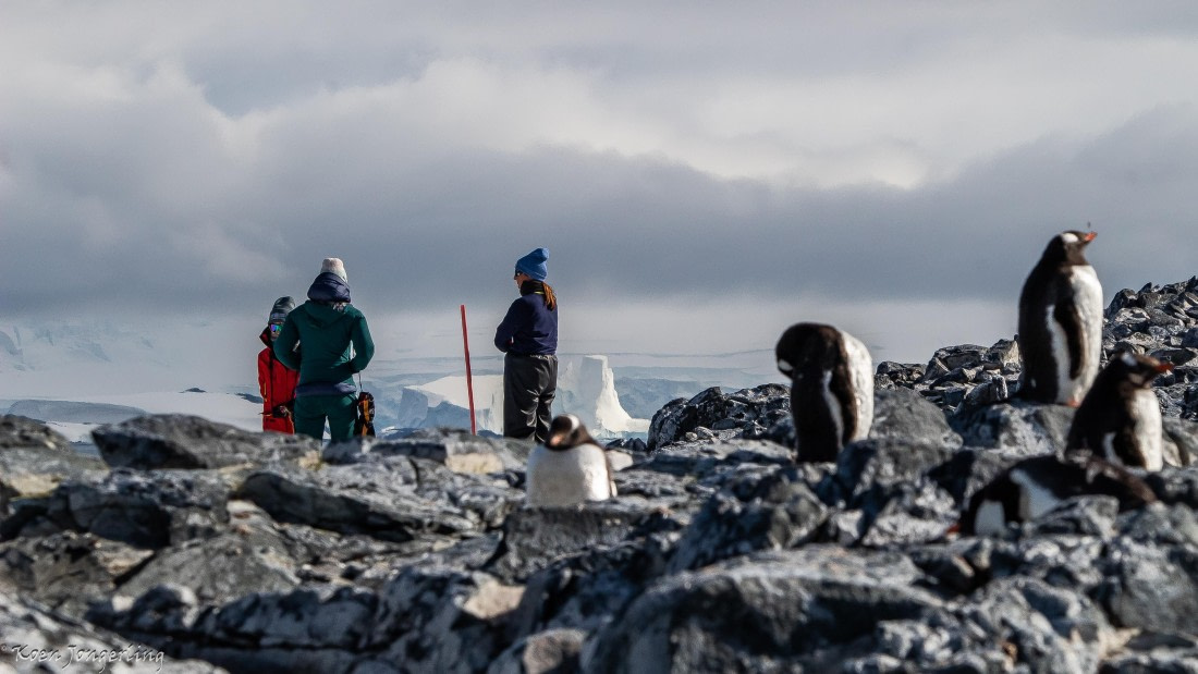 OTL29-25, Day 7, IMG_8308 © Koen Jongerling - Oceanwide Expeditions.jpg