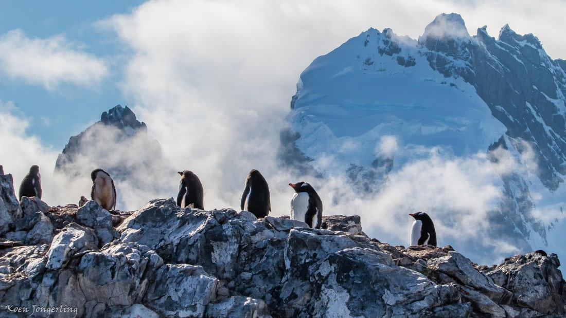 OTL29-25, Day 7, IMG_8313 © Koen Jongerling - Oceanwide Expeditions.jpg