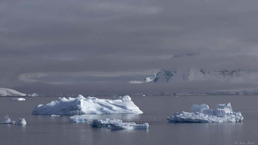 OTL29-25, Day 7, Orne Island © Sara Jenner - Oceanwide Expeditions.jpg