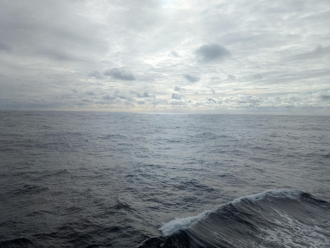 PLA28-25, Day 10, PXL_20250212_122531273.MP © Unknown photographer - Oceanwide Expeditions.jpg