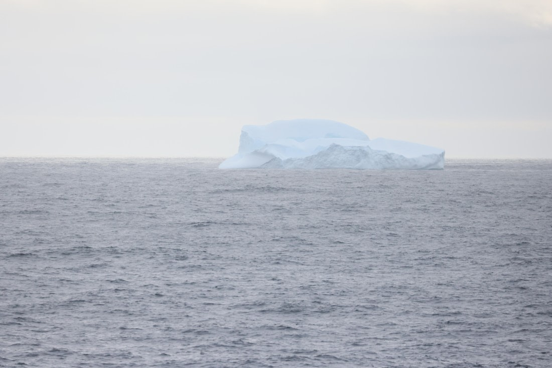 PLA28-25, Day 3, Regis PERDRIAT(4) © Regis Perdriat - Oceanwide Expeditions.JPG
