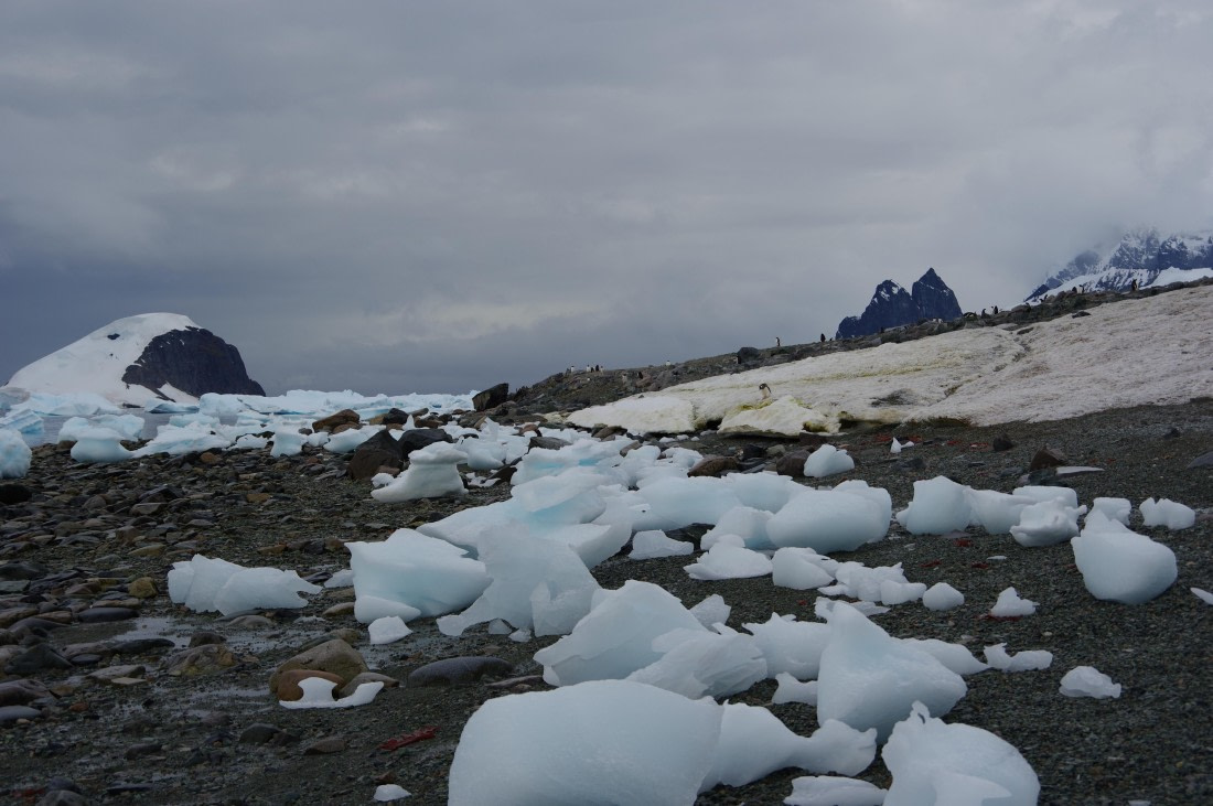 PLA28-25, Day 4, HélèneDEMERINGO (7) © Hélène de Meringo - Oceanwide Expeditions.JPG
