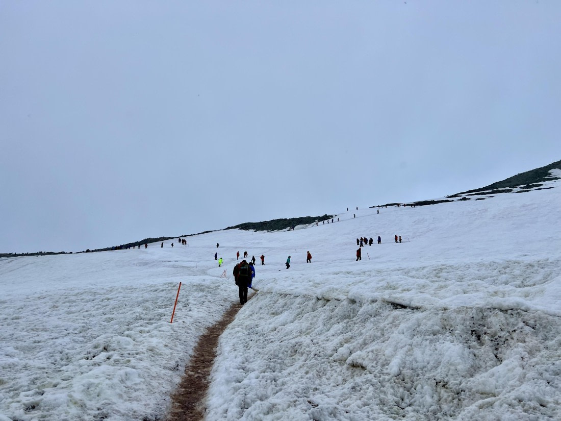 PLA28-25, Day 4, IMG_5416 2-elizabeth © Elizabeth Robinson - Oceanwide Expeditions.jpeg