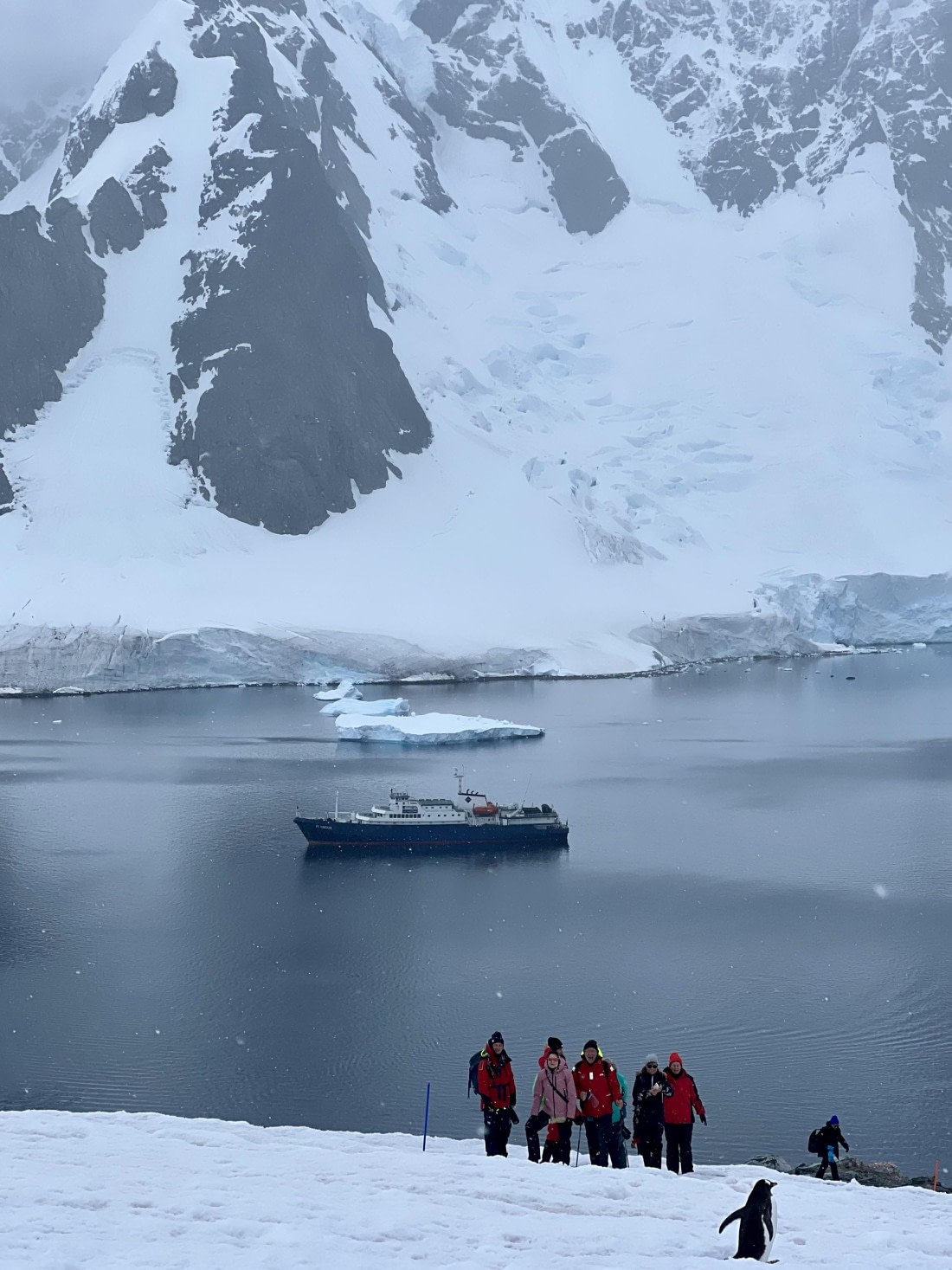 PLA28-25, Day 4, IMG_5418-elizabet © Elizabeth Robinson - Oceanwide Expeditions.jpeg