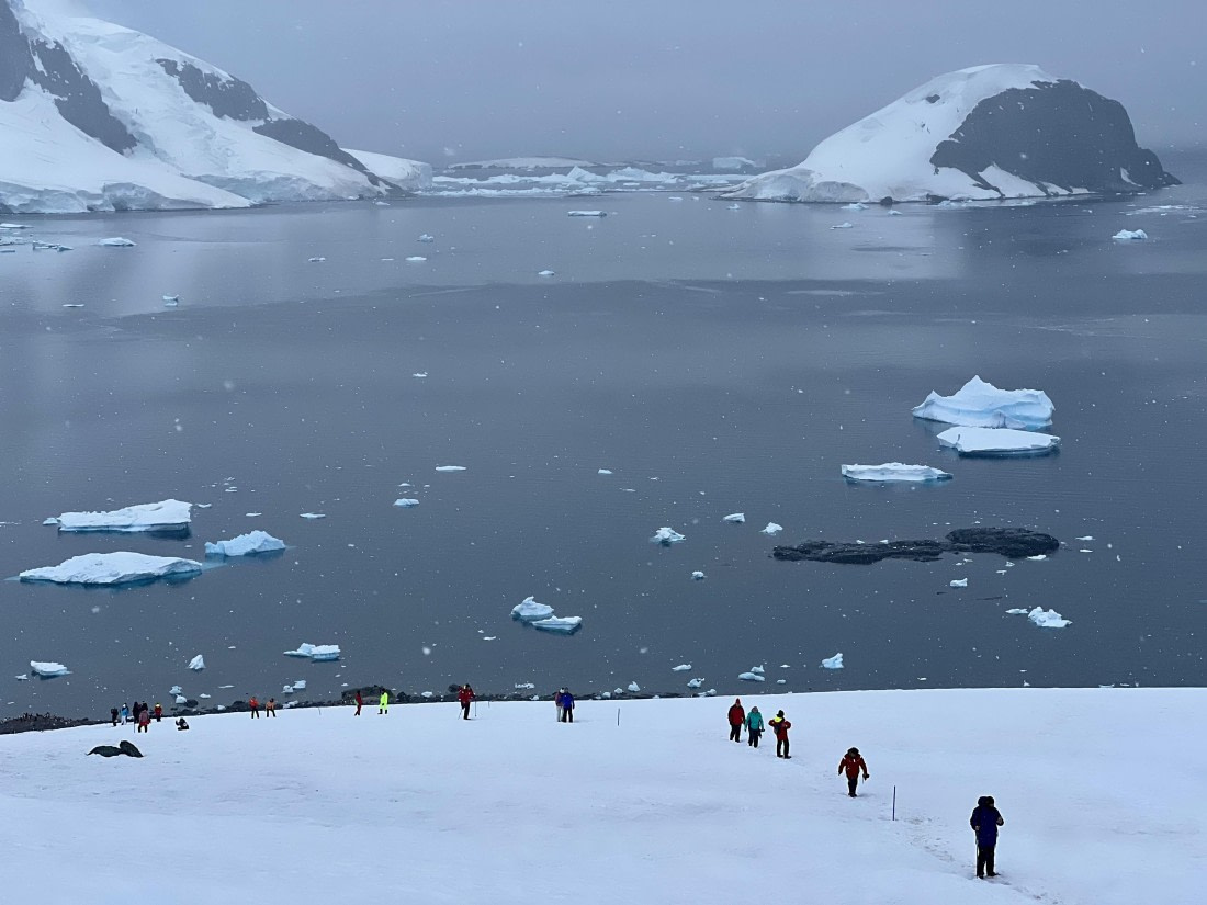 PLA28-25, Day 4, IMG_5421-elizabeth © Elizabeth Robinson - Oceanwide Expeditions.jpeg