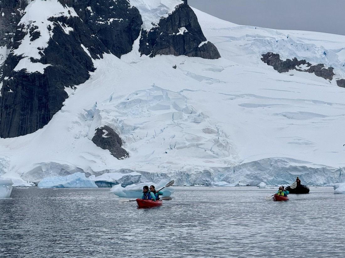 PLA28-25, Day 4, IMG_5718 © Unknown photographer - Oceanwide Expeditions.jpg