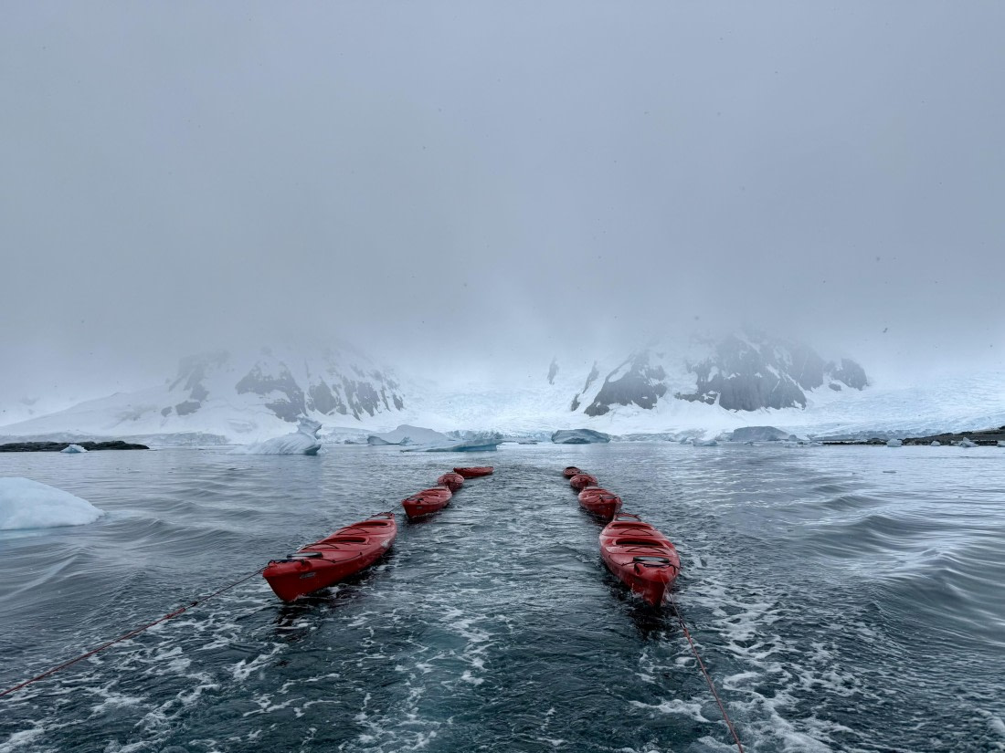 PLA28-25, Day 4, IMG_5764 © Unknown photographer - Oceanwide Expeditions.jpg