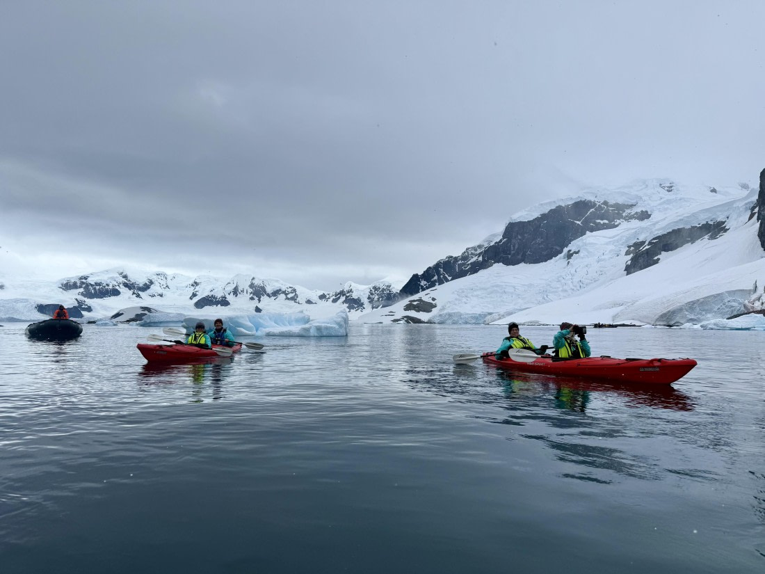 PLA28-25, Day 4, IMG_5793 © Unknown photographer - Oceanwide Expeditions.jpg