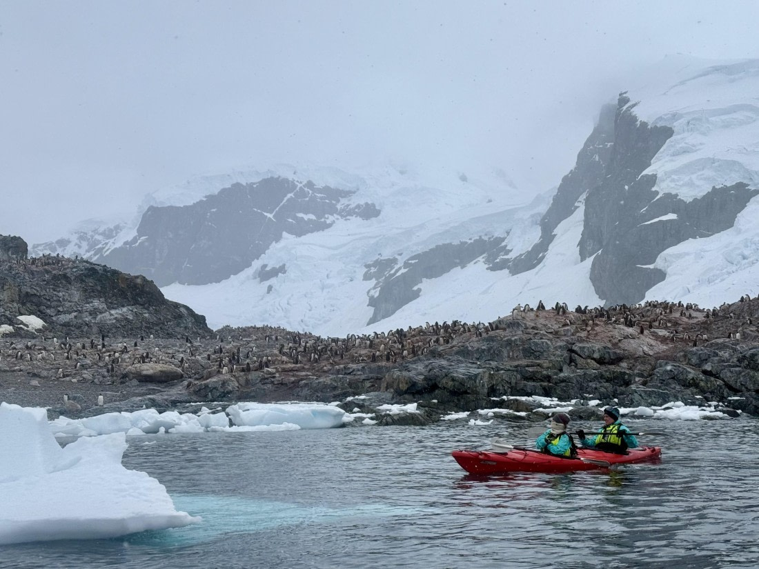 PLA28-25, Day 4, IMG_5802 © Unknown photographer - Oceanwide Expeditions.jpg