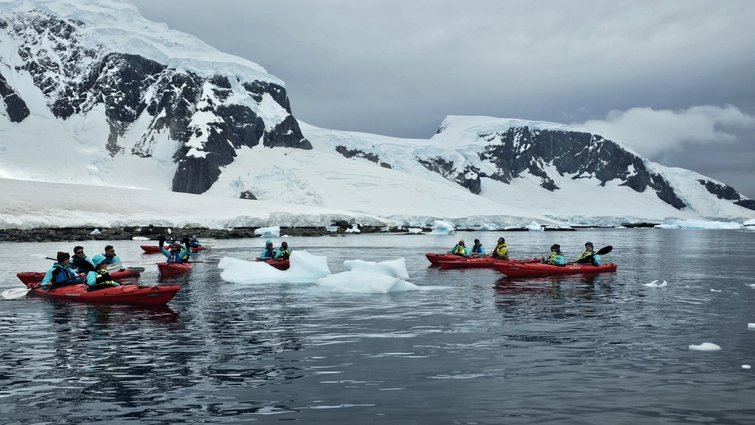 PLA28-25, Day 4, IMG_5816 © Unknown photographer - Oceanwide Expeditions.JPG