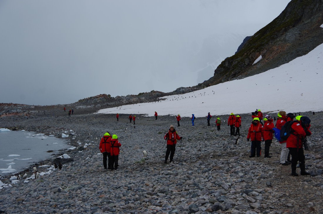 PLA28-25, Day 4, IMGP3464 © Unknown photographer - Oceanwide Expeditions.JPG