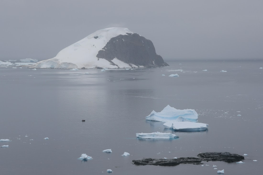 PLA28-25, Day 4, RegisPERDRIAT (5) © Regis Perdriat - Oceanwide Expeditions.JPG