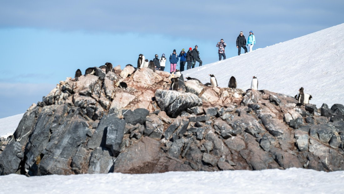 PLA28-25, Day 5, DSC_5257 © Unknown photographer - Oceanwide Expeditions.jpg