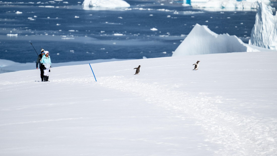 PLA28-25, Day 5, DSC_5272 © Unknown photographer - Oceanwide Expeditions.jpg