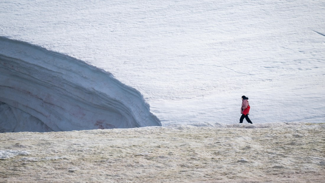 PLA28-25, Day 5, DSC_5334 © Unknown photographer - Oceanwide Expeditions.jpg