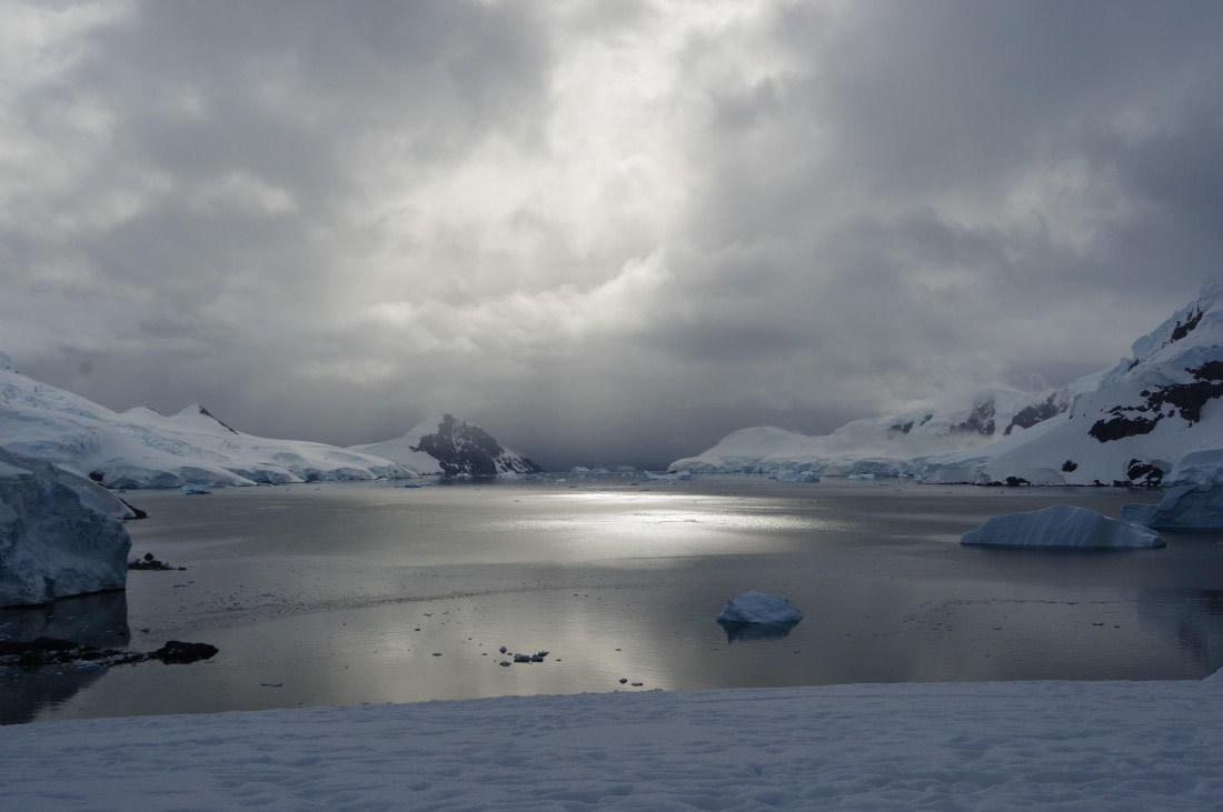 PLA28-25, Day 6, helenedemeringo (2) © Hélène de Meringo - Oceanwide Expeditions.JPG