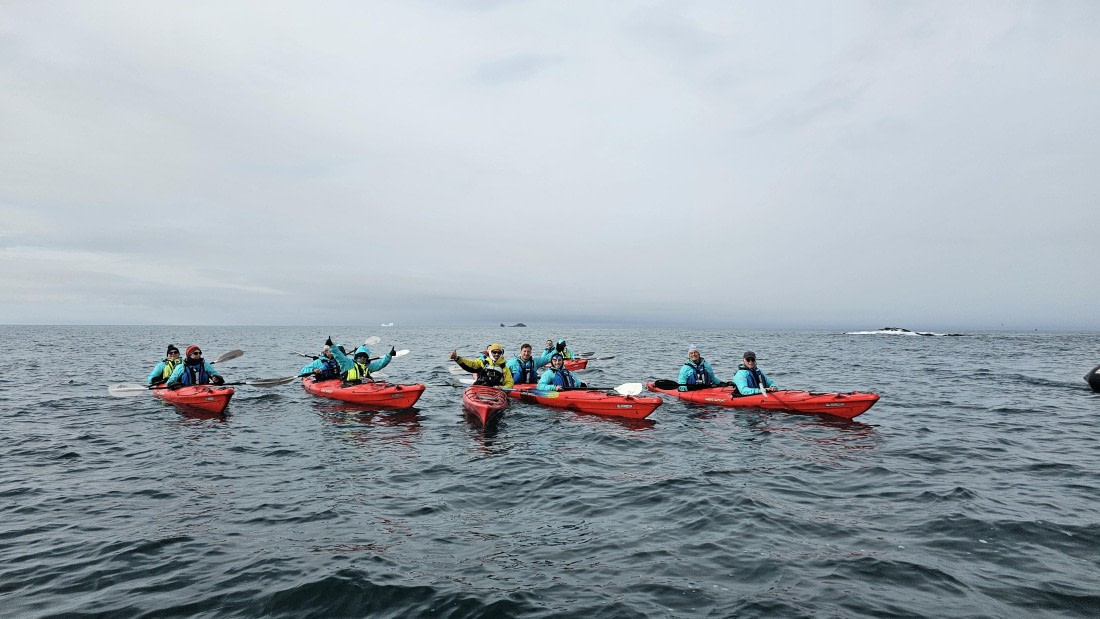 PLA28-25, Day 8, 20250210_102956 © Unknown photographer - Oceanwide Expeditions.jpg