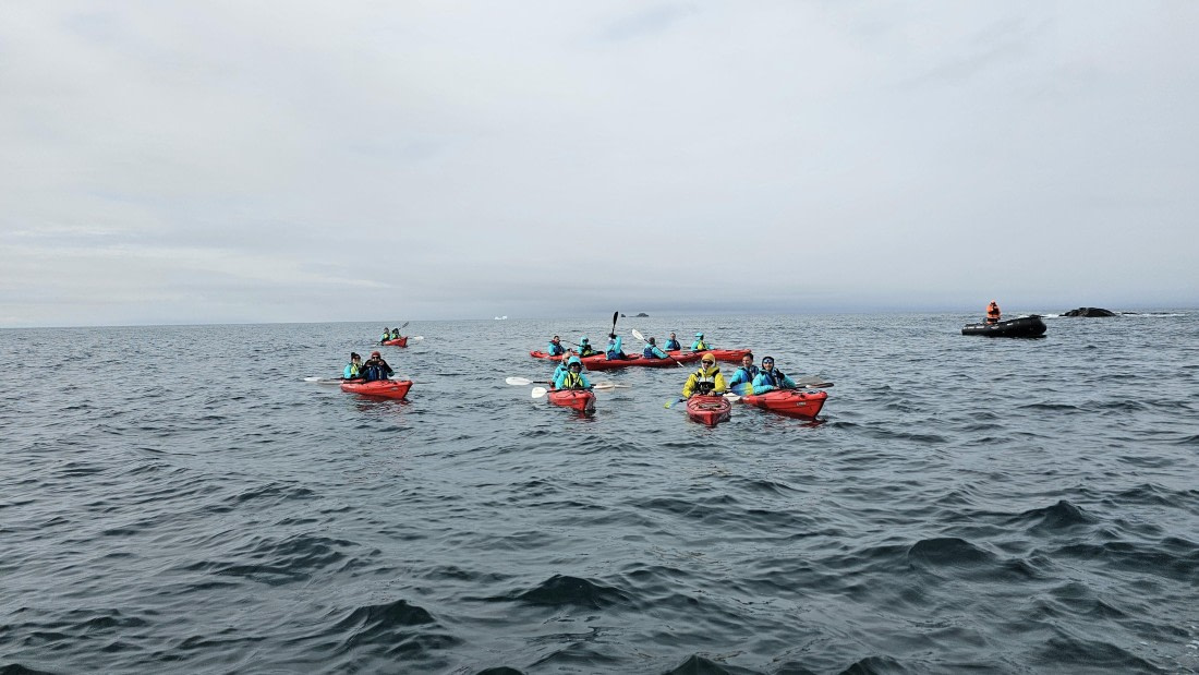 PLA28-25, Day 8, 20250210_102930 © Unknown photographer - Oceanwide Expeditions.jpg