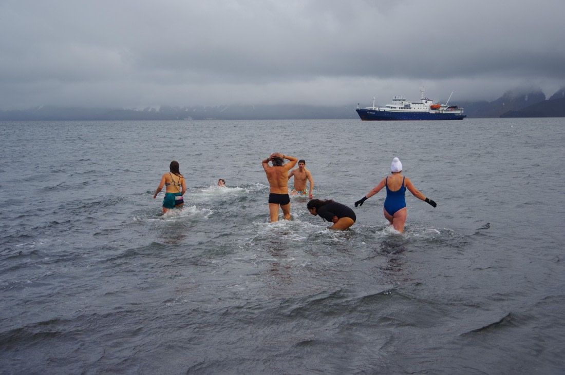 PLA28-25, Day 8, IMGP4282 © Unknown photographer - Oceanwide Expeditions.JPG
