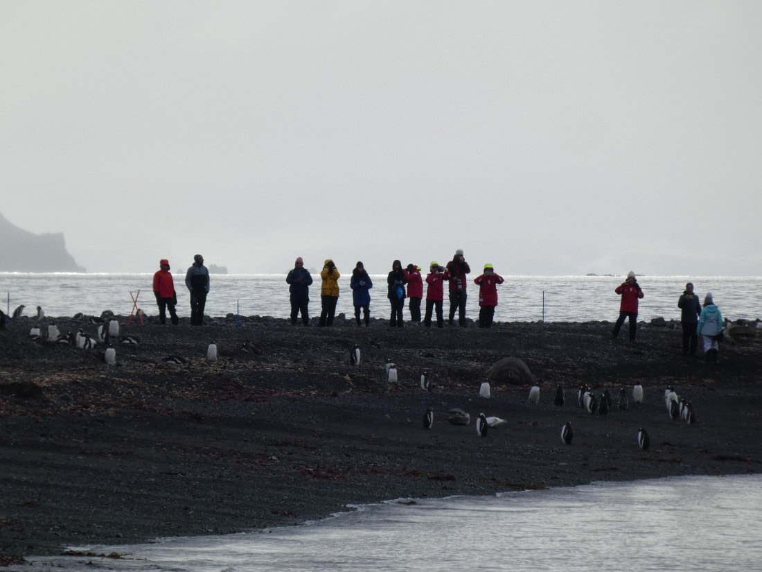 PLA28-25, Day 8, P1180216 © Ali Liddle - Oceanwide Expeditions.JPG