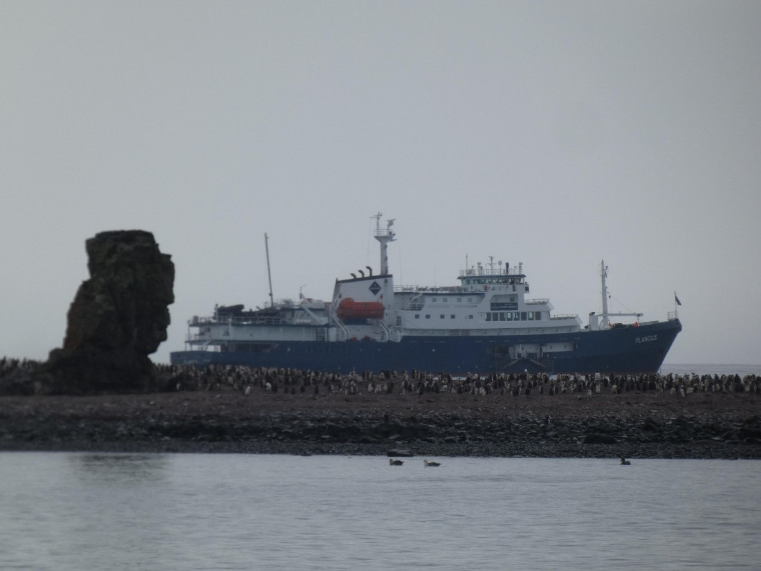 PLA28-25, Day 8, P1180220 © Ali Liddle - Oceanwide Expeditions.JPG