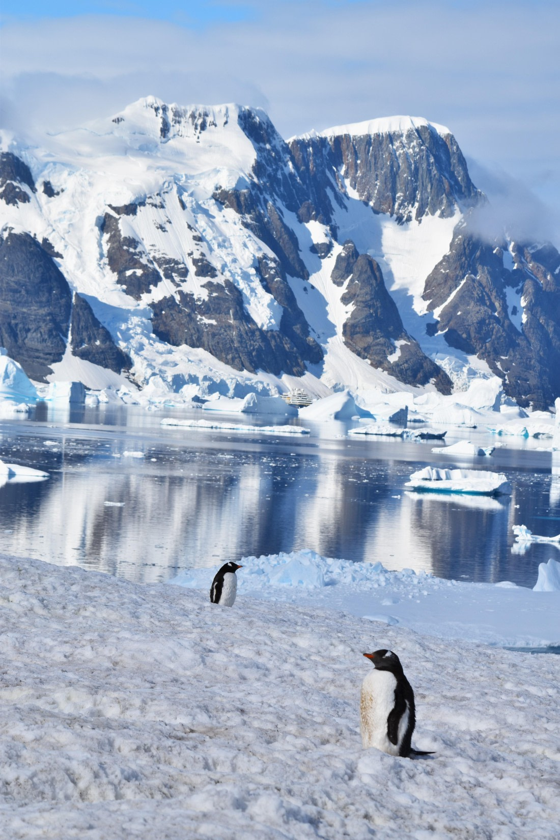 solitude with company