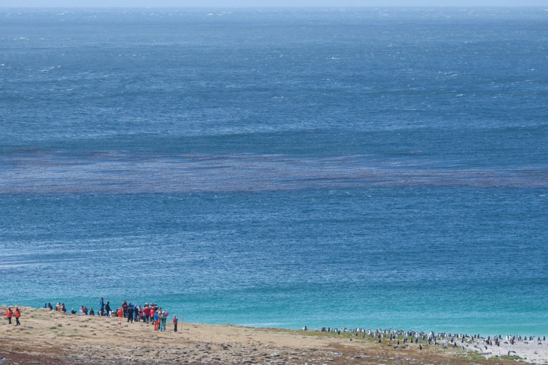 HDS28-25, Day 3, Ross new island © Ross Wheeler - Oceanwide Expeditions.jpg