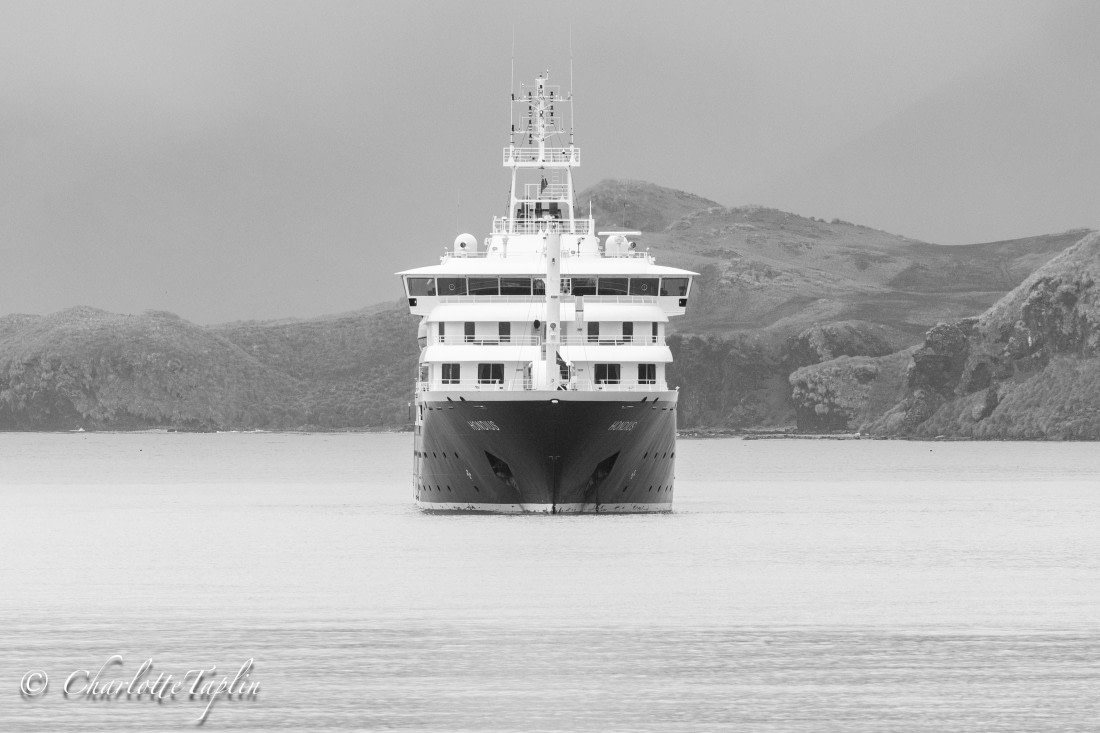 HDS28-25, Day 7, FZ1A3265 © Charlotte Taplin - Oceanwide Expeditions.jpg