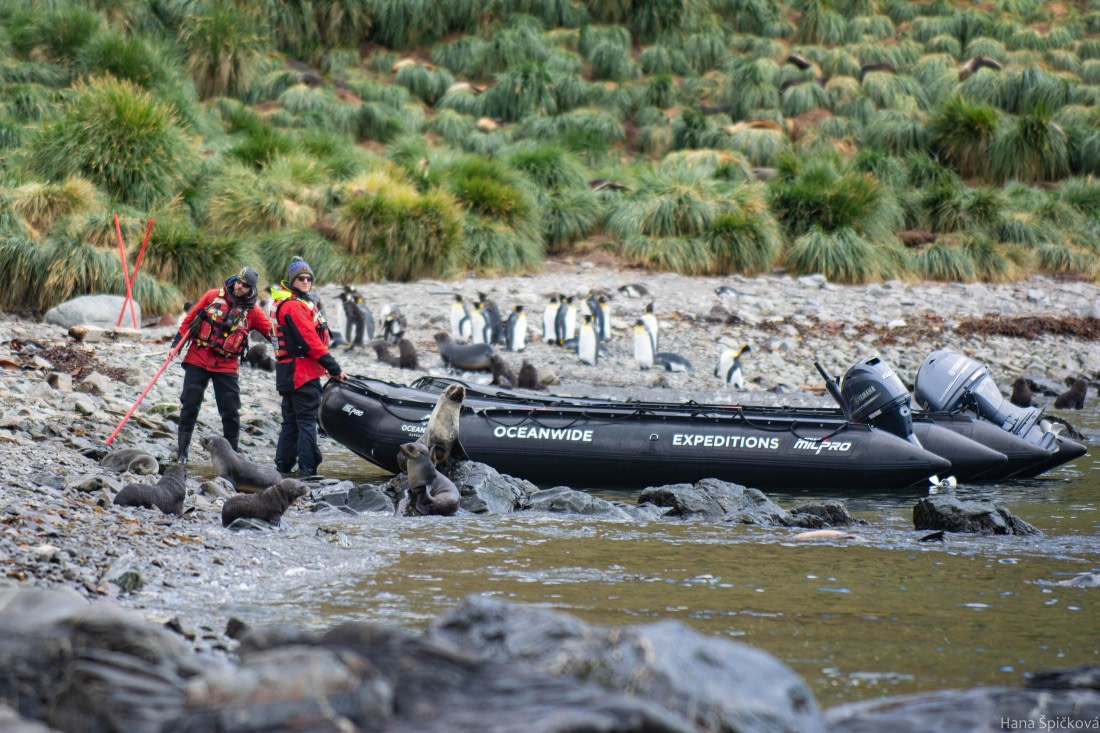 HDS28-25, Day 8, _DSC6447 © Hana Spickova - Oceanwide Expeditions.jpg