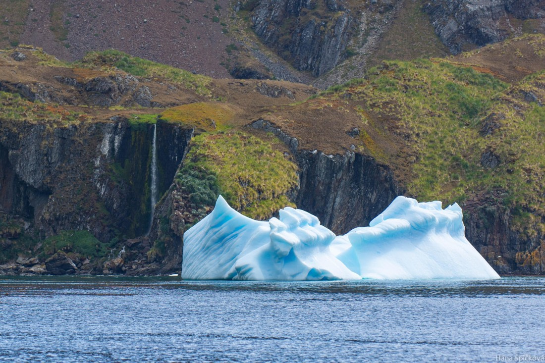 HDS28-25, Day 8, _DSC6452 © Hana Spickova - Oceanwide Expeditions.jpg