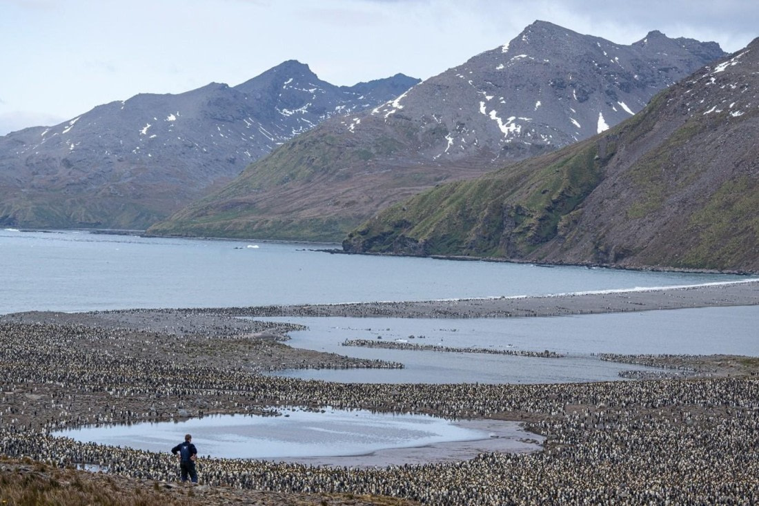 HDS28-25, Day 9, Picture71 © Unknown photographer - Oceanwide Expeditions.jpg