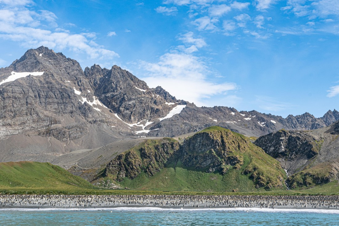 HDS28-25, Day 10, Ross Gold Harbour © Ross Wheeler - Oceanwide Expeditions.jpg