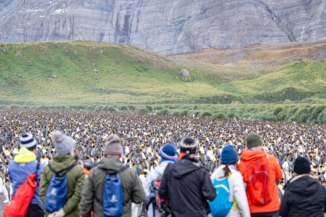 HDS28-25, Day 10, Ross Gold Harbour Penguins-8 © Ross Wheeler - Oceanwide Expeditions.jpg
