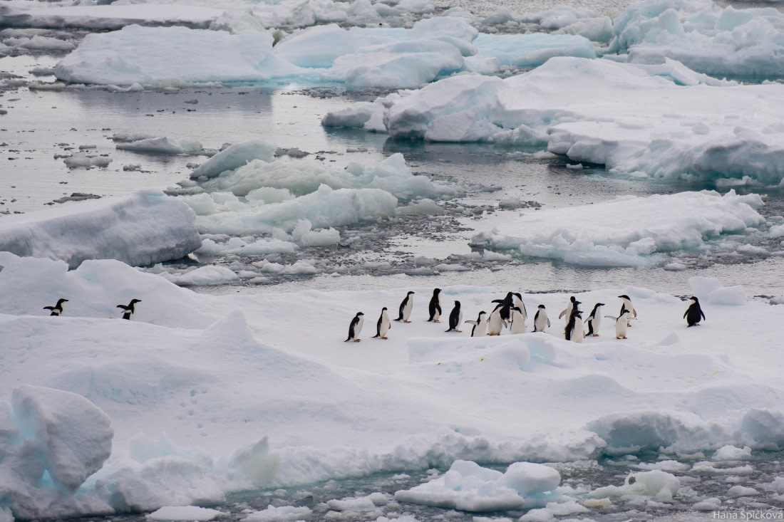 HDS28-25, Day 14, _DSC6653 © Hana Spickova - Oceanwide Expeditions.jpg
