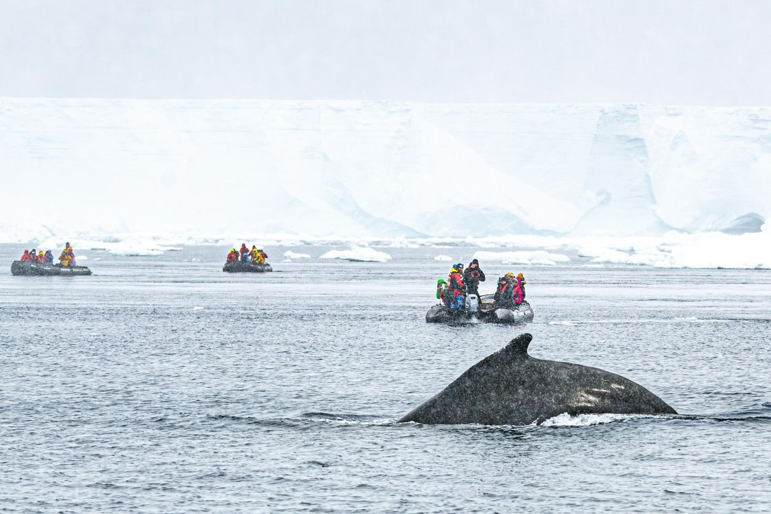 HDS28-25, Day 14, Ross Ice landing photos (6) © Ross Wheeler - Oceanwide Expeditions.jpg