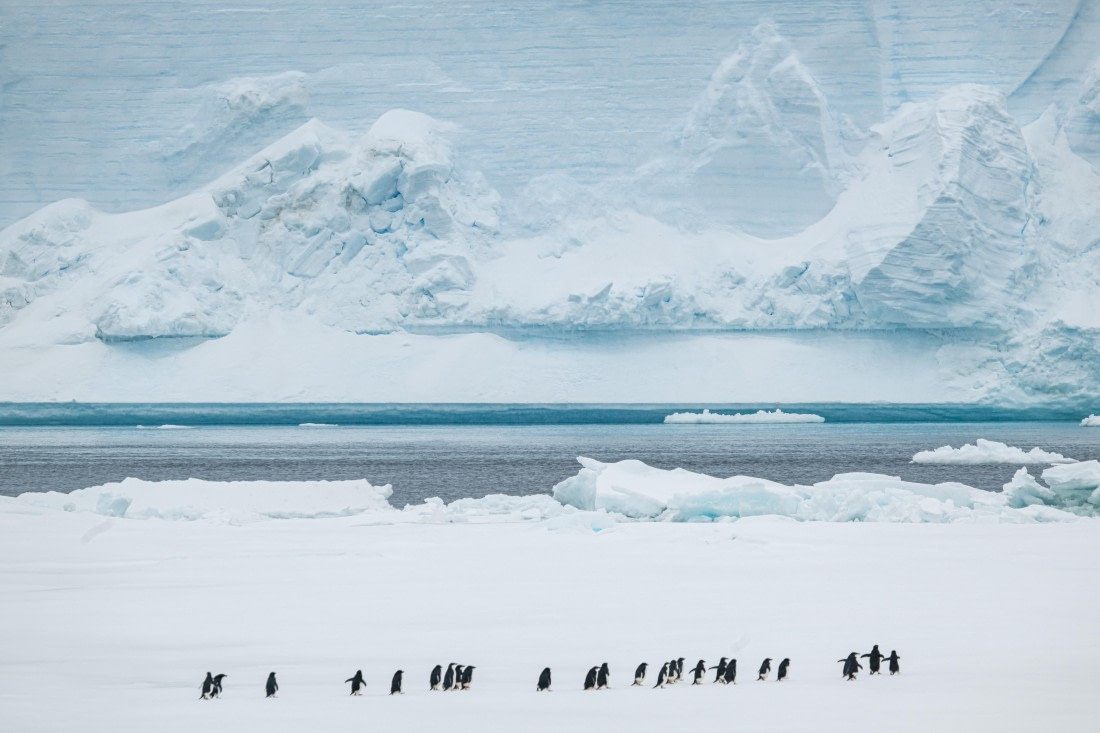 HDS28-25, Day 14, Ross Ice landing photos (7) © Ross Wheeler - Oceanwide Expeditions.jpg