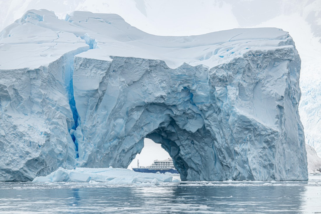HDS28-25, Day 16, Ross Neko © Ross Wheeler - Oceanwide Expeditions.jpg