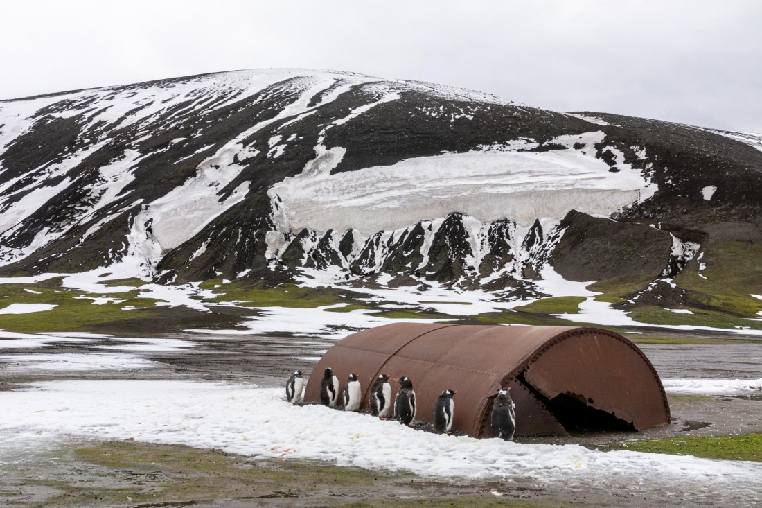 HDS28-25, Day 17, _DSC0219 © Unknown photographer - Oceanwide Expeditions.jpg