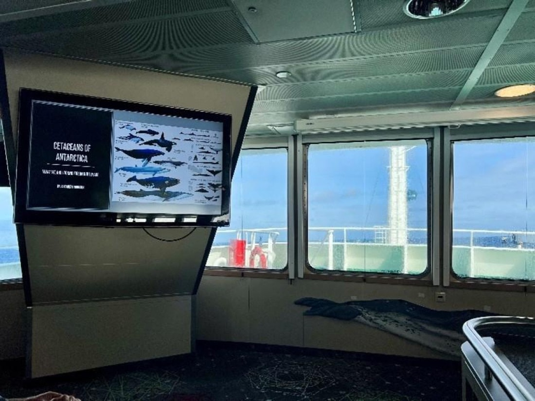 PLA29-25, Day 3, Picture7 © Unknown photorgrapher - Oceanwide Expeditions.jpg