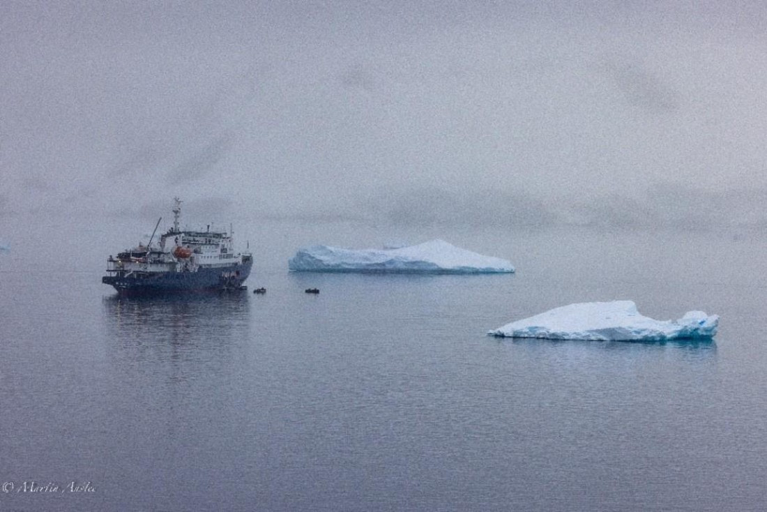 PLA29-25, Day 4, Picture8 © Martin Anstee - Oceanwide Expeditions.jpg