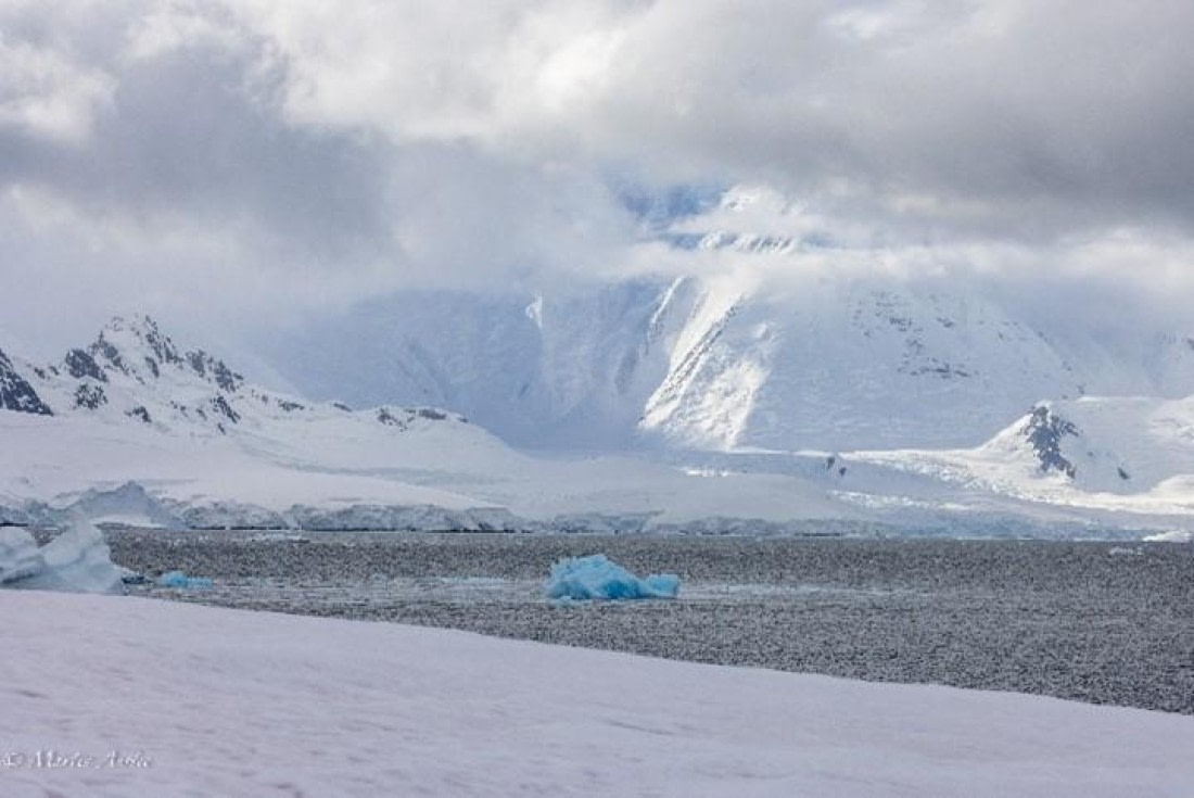 PLA29-25, Day 4, Picture10 © Martin Anstee - Oceanwide Expeditions.jpg