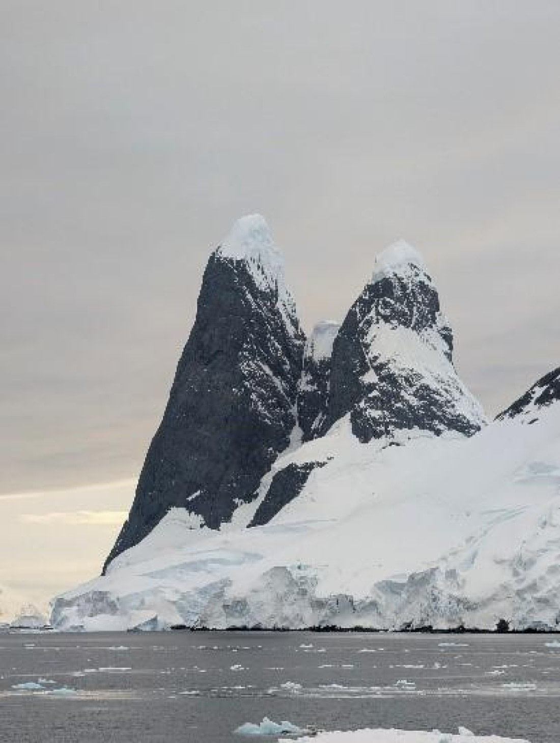 PLA29-25, Day 5, Picture13 © Unknown photographer - Oceanwide Expeditions.jpg