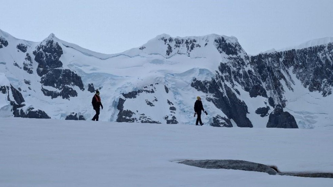 PLA29-25, Day 5, Picture14 © Unknown photographer - Oceanwide Expeditions.jpg