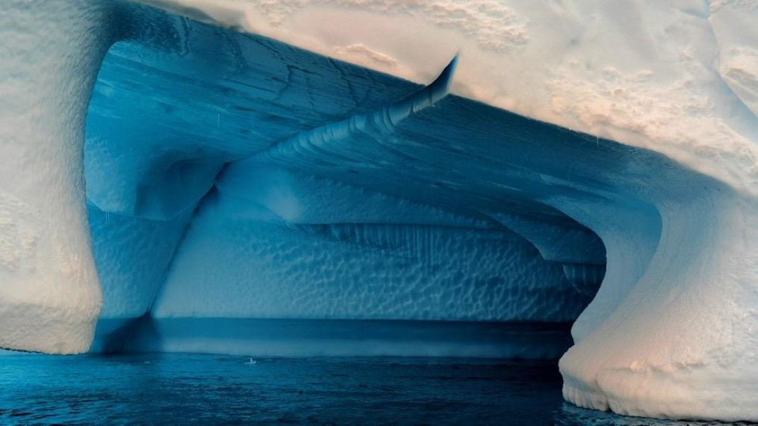 PLA29-25, Day 5, Picture17 © Unknown photographer - Oceanwide Expeditions.jpg